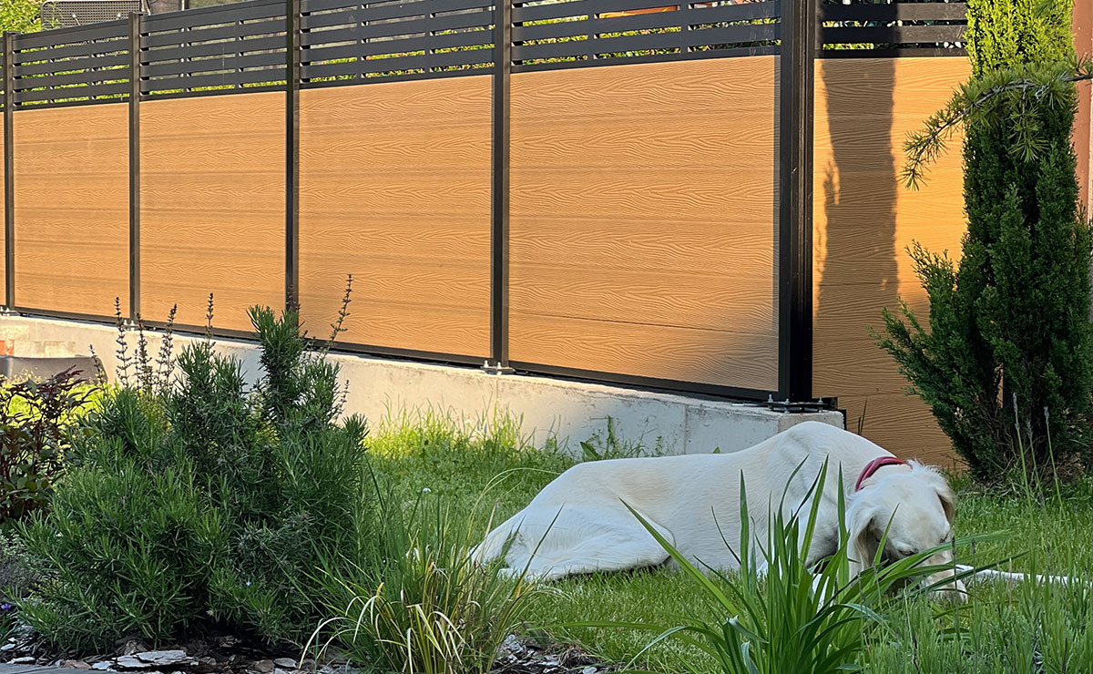 Slika iz galerije