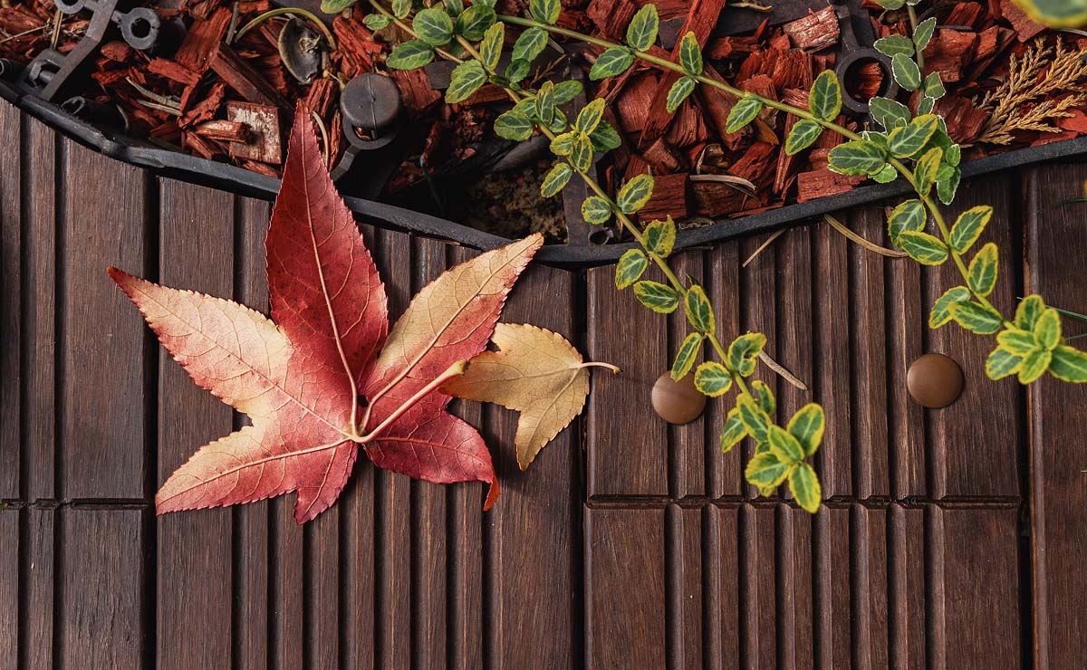 page.gallery.image.alt